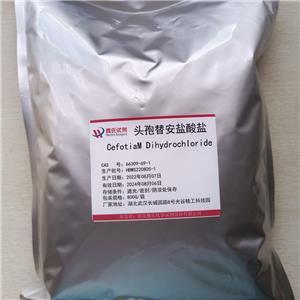 盐酸头孢替安,Cefotiam hydrochloride
