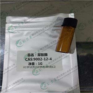 尿酸酶 9002-12-4 酶类催化剂|科研试剂 维斯尔曼生物-王明