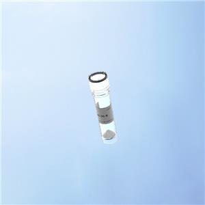 [Lys?]-Conopressin S,[Lys?]-Conopressin S