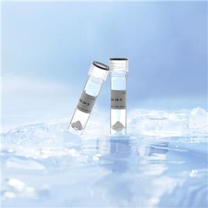 [Lys?]-Conopressin S,[Lys?]-Conopressin S