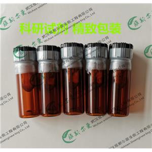 酸性磷酸酶 9001-77-8 |酶活力≥100U/mg protein|高酶活试剂|维斯尔曼生物-王明