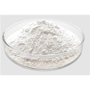 烟酰胺核糖氯化物,Nicotinamide riboside chloride