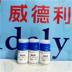尿酸酶