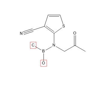 2-（（（l1甲基）（l1氧化基）硼烷）（2-氧代丙基）氨基）噻吩-3-腈,2-(((l1-methyl)(l1-oxidaneyl)boraneyl)(2-oxopropyl)amino)thiophene-3-carbonitrile