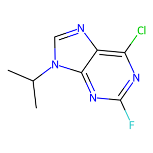 6-氯-2-氟-9-丙基-2-丙嘌呤,6-chloro-2-fluoro-9-(propan-2-yl)-9H-purine