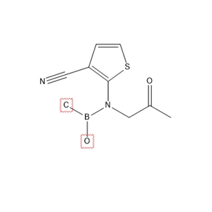 2-（（（l1甲基）（l1氧化基）硼烷）（2-氧代丙基）氨基）噻吩-3-腈