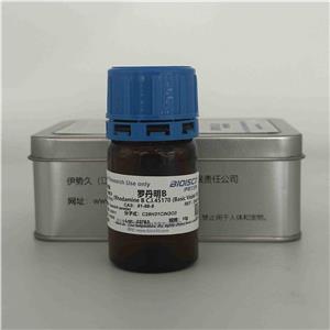 罗丹明B,Rhodamine