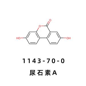 尿石素A 