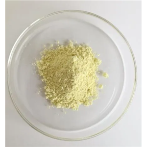 獨(dú)腳金內(nèi)酯,rac-GR24