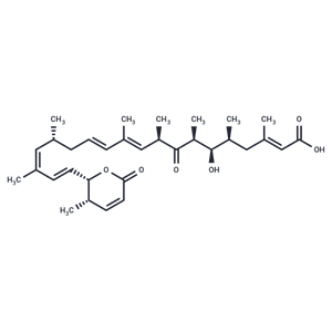 來普霉素A,Leptomycin A
