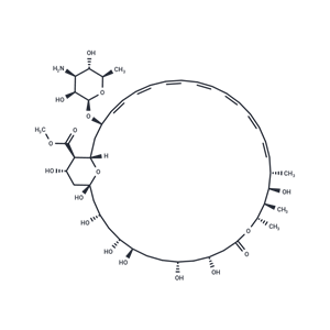 化合物 Amphotericin B methyl ester,Amphotericin B methyl ester