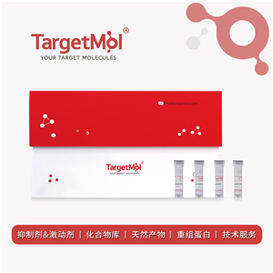 化合物 Amine-PEG-amine (MW 20000)|T17391|TargetMol