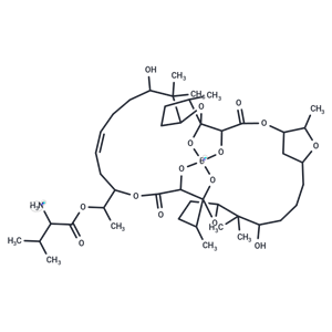 Boromycin|T36659|TargetMol
