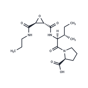化合物 CA 074,CA 074