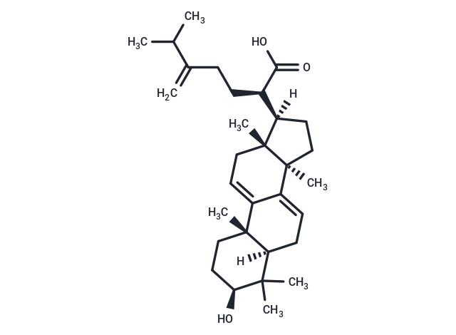 松苓新酸,Dehydrotrametenolic acid