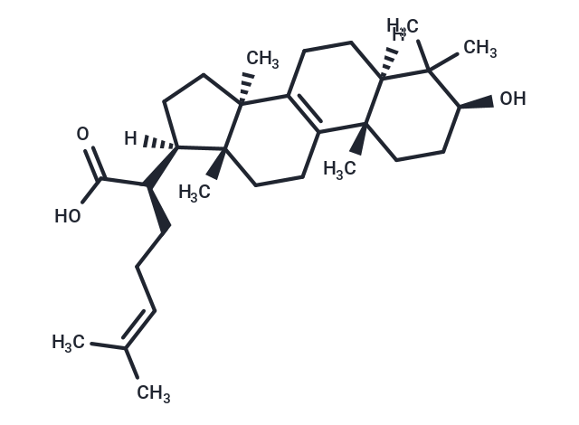 3-羟基羊毛甾-8,24-二烯-21-酸,Trametenolic acid