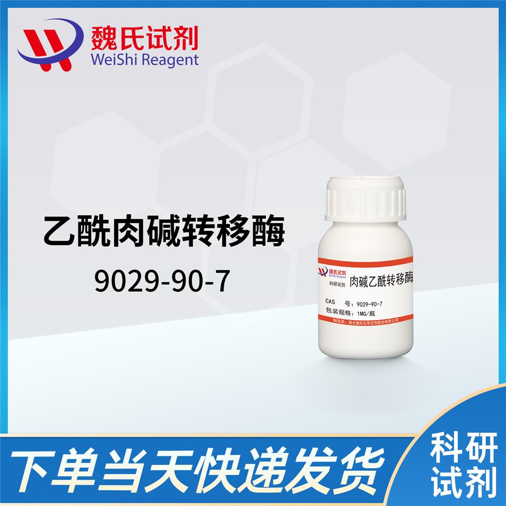 乙酰肉碱转移酶,CARNITINE ACETYLTRANSFERASE