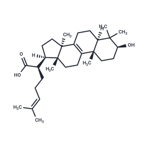 3-羟基羊毛甾-8,24-二烯-21-酸,Trametenolic acid