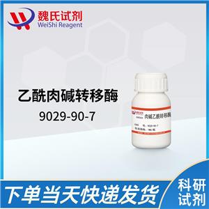 乙酰肉堿轉(zhuǎn)移酶9029-90-7
