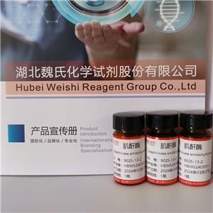 肌酐酶,Creatininase amidohydrolase