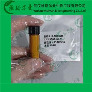 ?L-乳酸脫氫酶-9001-60-9-酶類化學(xué)試劑-丨輔酶丨催化劑丨科研試劑丨-找維斯?fàn)柭跞A
