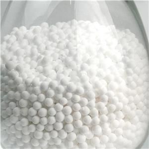 氧化鋁催化劑載體,Alumina catalyst support