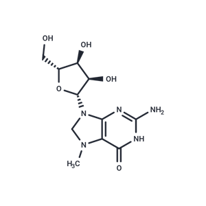 7-甲基鸟苷,7-Methylguanosine
