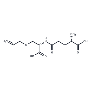 γ-谷氨酰胺-S-烯丙基半胱氨酸,γ-Glutamyl-S-allylcysteine