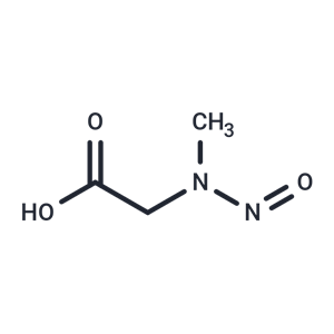 N-Nitroso Sarcosine|T36414|TargetMol