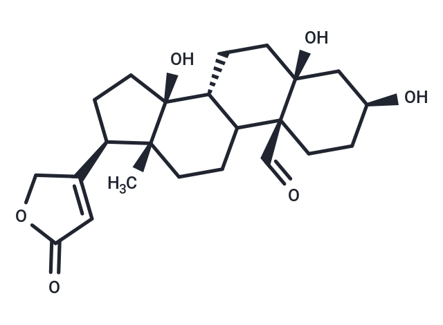 葡萄球菌素,Strophanthidin