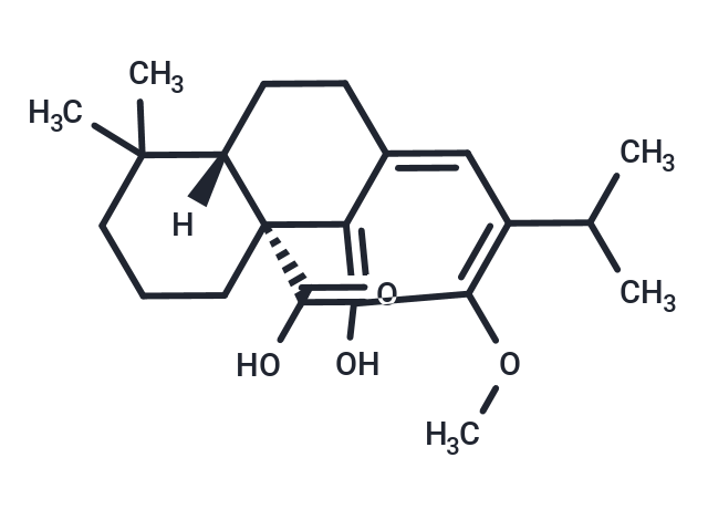 12-O-甲基鼠尾草酸,12-O-Methylcarnosic acid