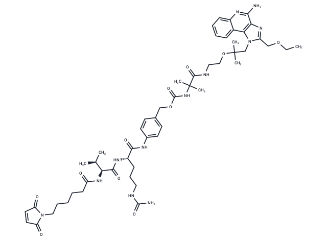 化合物 T74468,MC-Val-Cit-PAB-Amide-TLR7 agonist 4 Conjugate