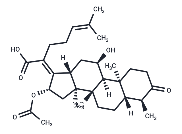3-keto Fusidic Acid,3-keto Fusidic Acid
