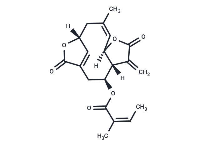 異地膽草種內(nèi)酯,Isoscabertopin