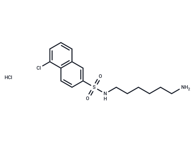 化合物 W-9 hydrochloride,W-9 hydrochloride