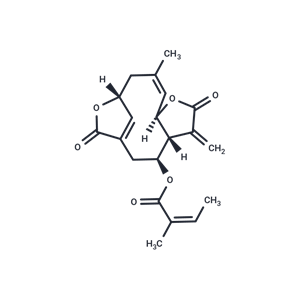 異地膽草種內(nèi)酯,Isoscabertopin