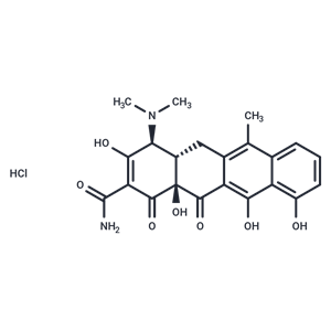 化合物 Anhydrotetracycline hydrochloride|T21508|TargetMol