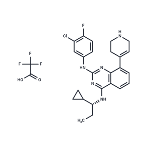RAS GTPase 抑制劑1,RAS GTPase inhibitor 1