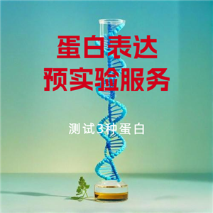 蛋白表达预实验服务