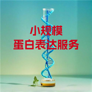 小規(guī)模蛋白表達(dá)服務(wù)