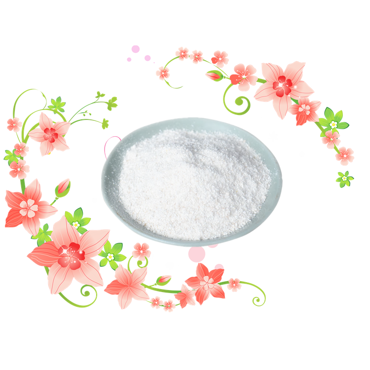 烟酰胺核糖苹果酸盐,Nicotinamide riboside malate