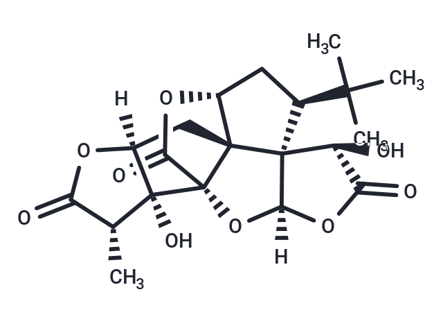 銀杏內(nèi)酯A,Ginkgolide A