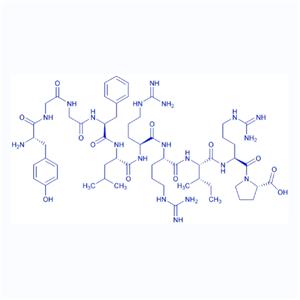Dynorphin A (1-10)/79994-24-4/強(qiáng)啡肽A(1-10)