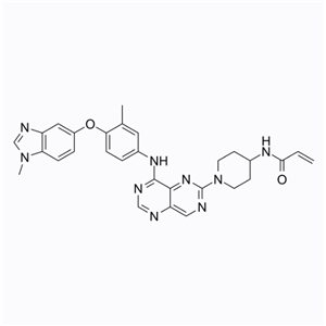 宗格替尼，Zongertinib，有效的、选择性 HER2 和 EGFR 酪氨酸激酶抑制剂