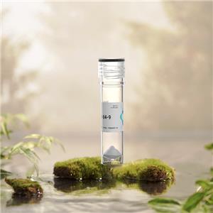 N-甲基酪氨酸1,(N-Me-Tyr1,N-Me-Arg7,D-Leu-NHEt8)-Dynorphin