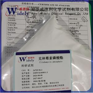 克林霉素磷酸酯 24729-96-2 科研試劑 USP級(jí)出口品質(zhì)