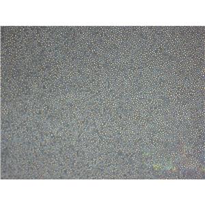 U-87MG ATCC Cells人腦星形膠質(zhì)母細胞瘤細胞傳代培養(yǎng)|STR圖譜