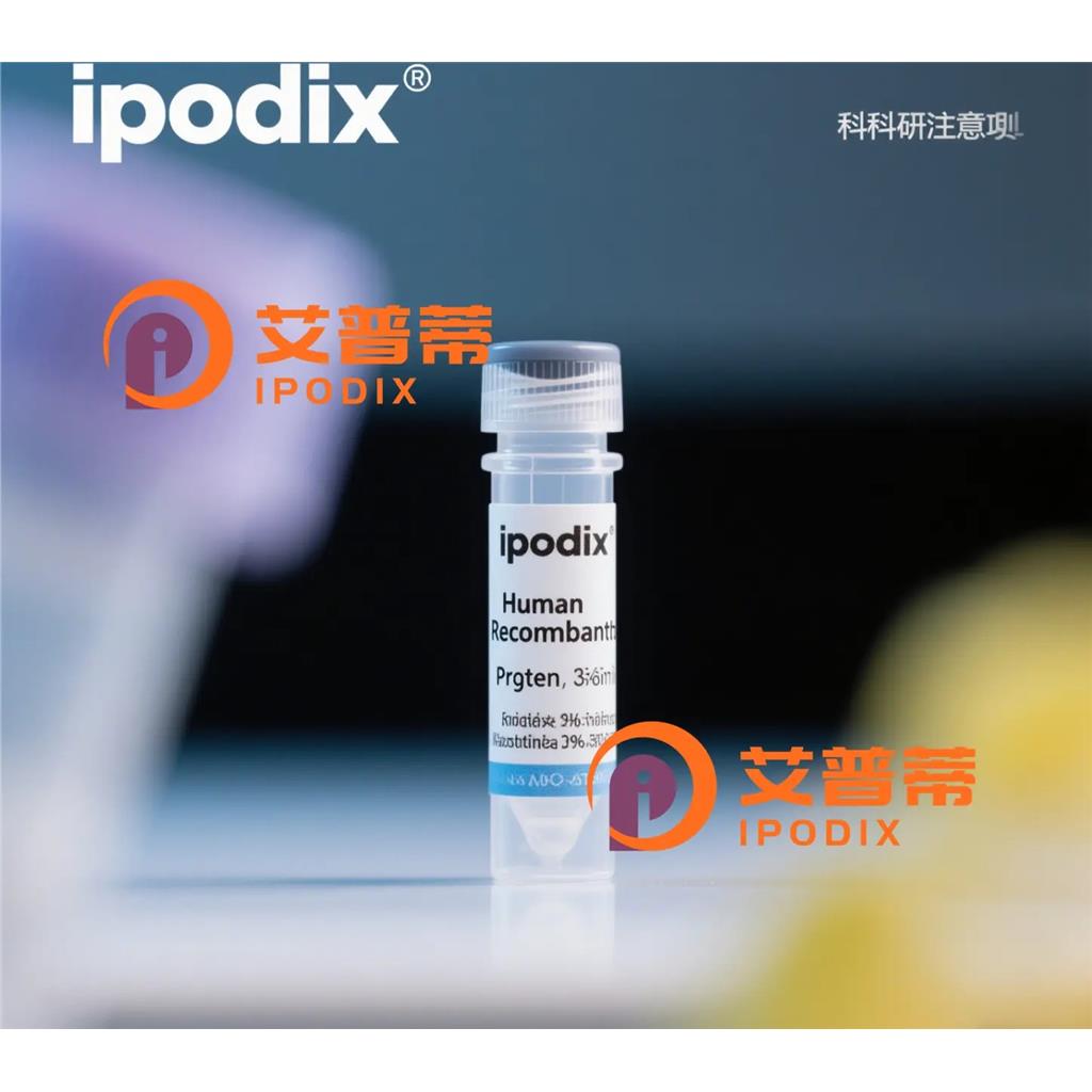 ERBB2抗体,Mouse Monoclonal ERBB2 Antibody