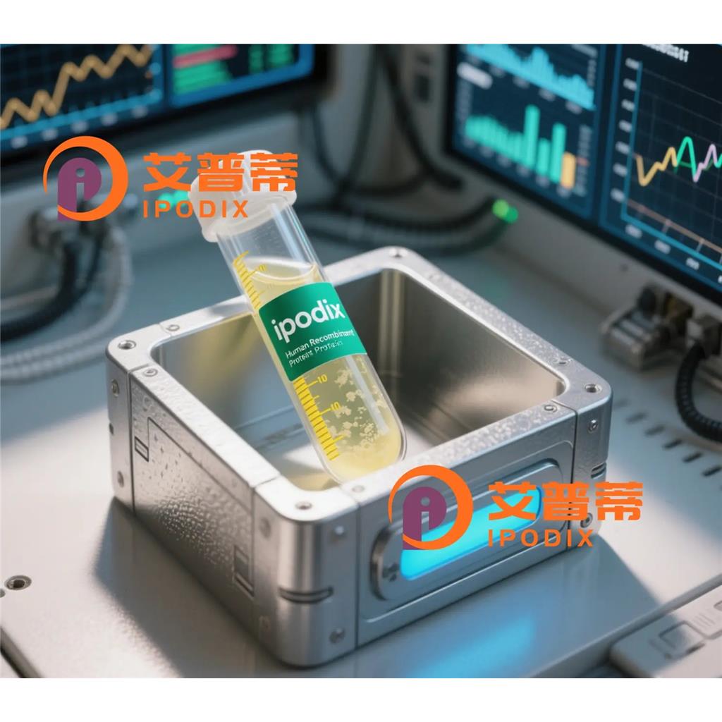 NR3C1抗體,Mouse Monoclonal NR3C1 Antibody