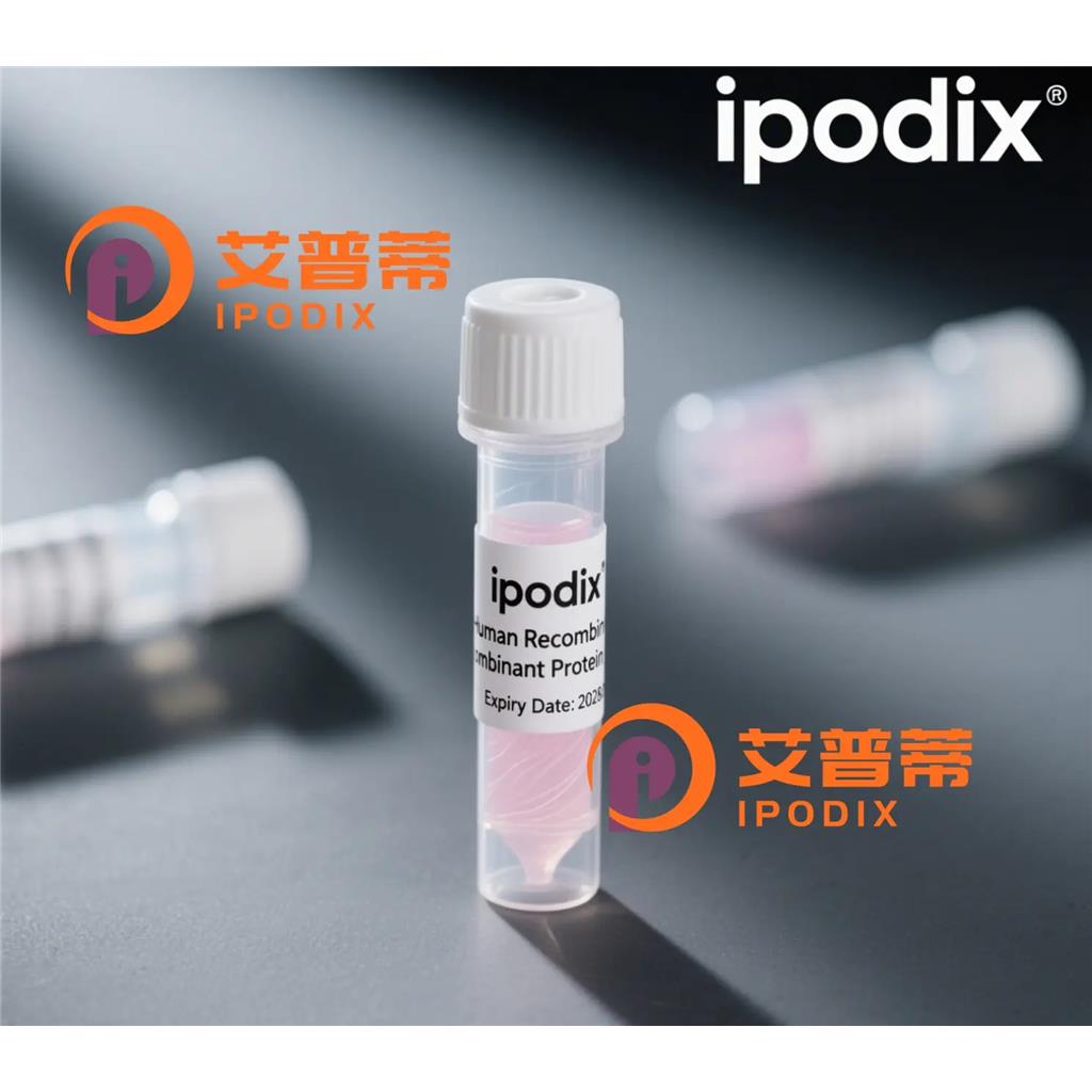 ApoB抗体,Mouse Monoclonal ApoB Antibody